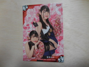 BBM 2023　No.120　宮本みか　女子プロレスカード