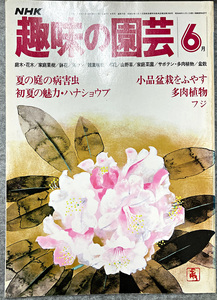 NHK 趣味の園芸 昭和54年 6月 夏の庭の病害虫 初夏の魅力・ハナショウブ ガーデニング 盆栽 花壇 菜園