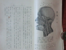 歯科医学書●大正８年　歯科解剖学　３７６＋２２頁　奥村鶴吉著　230714_画像6