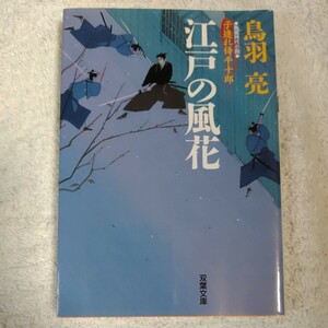 江戸の風花 子連れ侍平十郎 (双葉文庫) 鳥羽 亮 訳あり ジャンク 9784575662597