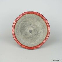 盆栽鉢 てるみ 越前文山 小型 長辺 約16cm 鯖江園芸 丸鉢 釉薬 観賞用 現品 新品_画像5