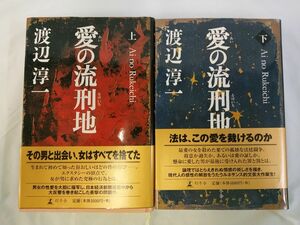 AI_20A_0003_ 愛の流刑地 上下2巻セット[Book]　全て初版、帯あります。