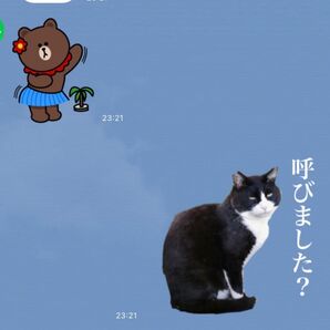 LINEスタンプ画作成８個セット　オリジナルキャラ、似顔絵、自由文字入れ、イラストオーダー