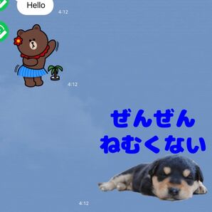 LINEスタンプ画作成８個セット　オリジナルキャラ、似顔絵、自由文字入れ、イラストオーダー