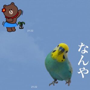 LINEスタンプ画作成8個セット オリジナルキャラ、似顔絵、自由文字入れ、イラストオーダー