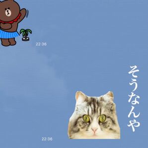 LINEスタンプ画作成８個セット　オリジナルキャラ、似顔絵、自由文字入れ、イラストオーダー