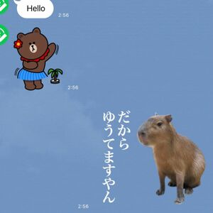 LINEスタンプ画作成８個セット　オリジナルキャラ、似顔絵、自由文字入れ、イラストオーダー