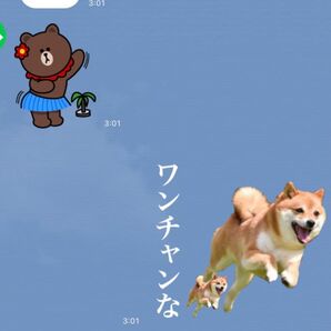 LINEスタンプ画作成8個セット オリジナルキャラ、似顔絵、自由文字入れ、イラストオーダー