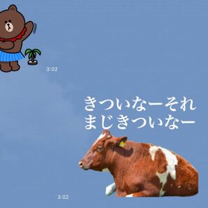 LINEスタンプ画作成８個セット　オリジナルキャラ、似顔絵、自由文字入れ、イラストオーダー