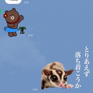 LINEスタンプ画作成８個セット　オリジナルキャラ、似顔絵、自由文字入れ、イラストオーダー