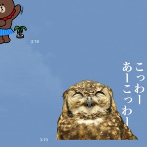 LINEスタンプ画作成８個セット　オリジナルキャラ、似顔絵、自由文字入れ、イラストオーダー