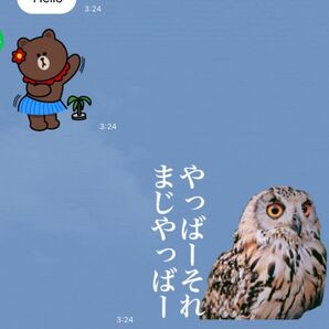 LINEスタンプ画作成８個セット　オリジナルキャラ、似顔絵、自由文字入れ、イラストオーダー