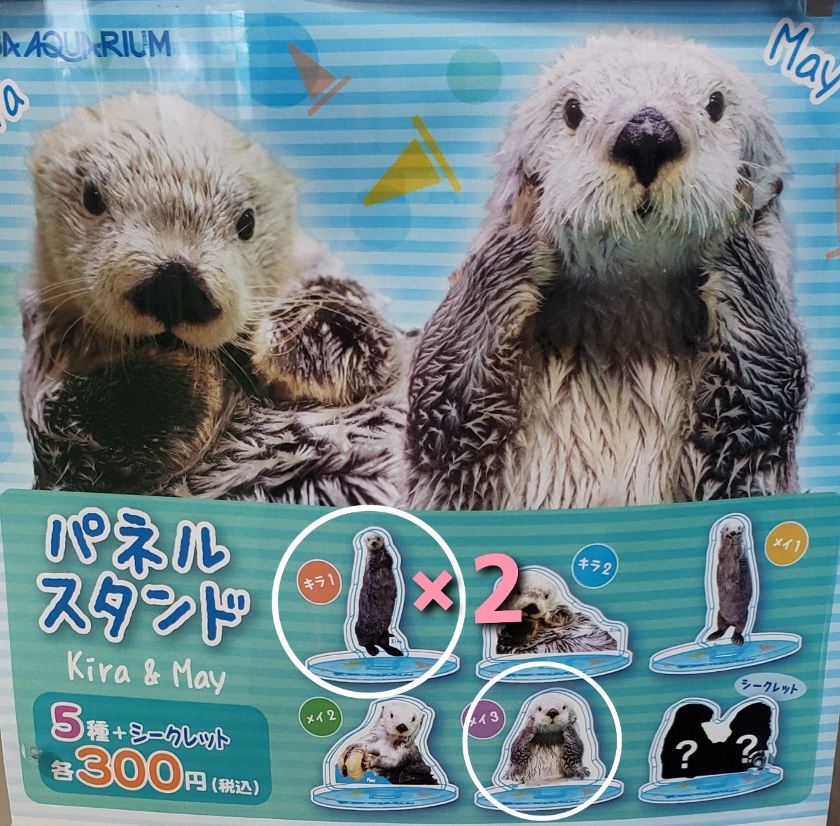 年最新Yahoo!オークション  鳥羽水族館 ラッコの中古品・新品