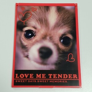  free shipping * anonymity delivery * mirror mirror hand-mirror dog lovely dressing up folding red compact mirror chihuahua Corgi pomelani Anne maru cheese four angle 