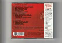 帯付CD 2枚組/ボブ・ディラン　ディラン・ザ・ベスト　2007年新規リマスター音源　2007年発売　SICP1622～3_画像2