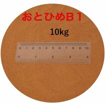 日清丸紅飼料 おとひめB1 10kg メダカの餌_画像1