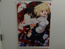 現状品 MELTY BLOOD : TYPE LUMINA ソフマップ特典 描き下ろし B2タペストリー アルクェイド 遠野秋葉_画像1