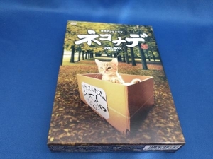 DVD ネコナデ DVD-BOX