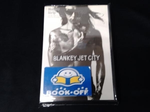 BLANKEY JET CITY DVD MONKEY STRIP