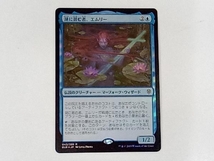 MTG　湖に潜む者、エムリー 043/269_画像1