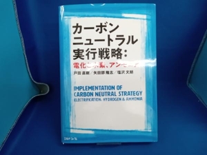 カーボンニュートラル実行戦略:電化と水素、アンモニア 戸田直樹