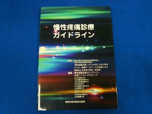 慢性疼痛診療ガイドライン 厚生労働行政推進調査事業費補助金(慢性の痛み政策研究事業)研究班