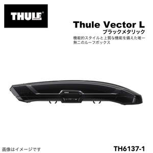 Thule Roof Box 420-литровый вектор Vector L Black Th6137-1 Бесплатная доставка