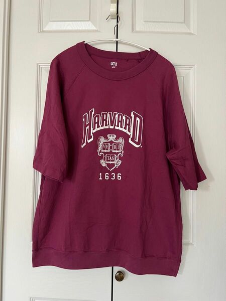 UNIQLO UT カレッジTシャツ　Harvard 半袖Tシャツ　