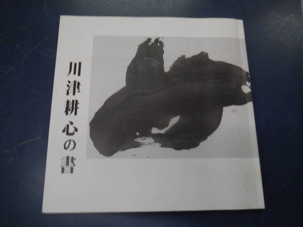 2307H17 川津耕心の書