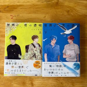 世界は、君の透明 上下