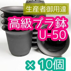 U50 10個 高級 プラ鉢 5号 U-50 多肉植物 アガベ ユーフォルビア