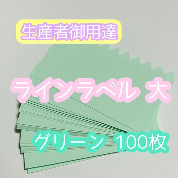 ◎ 100枚 ◎ グリーン(大) ラインラベル 園芸ラベル カラーラベル