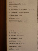 CUMBIA SOLEDENA/PAGOZA EL CARNAVA Vol.1-608645（LP）_画像5