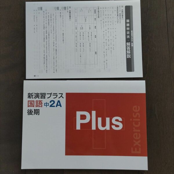 中2　国語　栄光ゼミナール　新演習プラス　問題集
