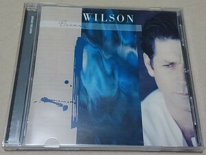 【CD】ブライアン・ウィルソン / ファースト■新名盤探検隊/WPCR-17119■BRIAN WILSON LOVE AND MERCY