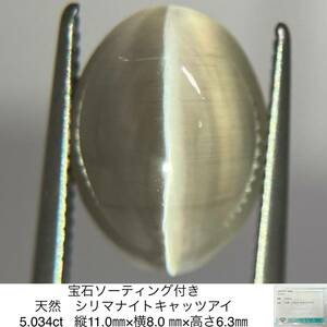 宝石ソーティング付き 天然　シリマナイトキャッツアイ 5.034ct 縦11.0㎜×横8.0 ㎜×高さ6.3㎜ 2228S