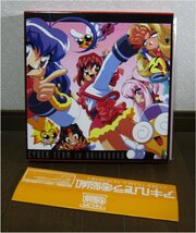 アニメ☆アキハバラ電脳組　CYBER TEAM in AKIHABARA　LD-BOX　LD7枚　671分　ある意味レア？　KA・NON_画像1