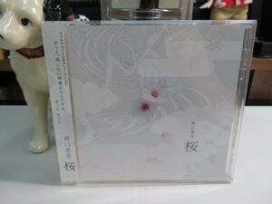 サ1｜★良品★ CD / authentic autograph(直筆サイン入り) / 帯付き ★ 河口恭吾「桜」