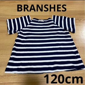 BRANSHES ボーダー　バックリボン　Tシャツ　120 ホワイト　ブラック