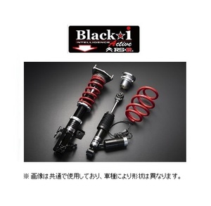 RS-R ブラックi アクティブ (推奨) 車高調 レクサス IS 350 Fスポーツ GSE31 後期 R2/11～ BKT591MA