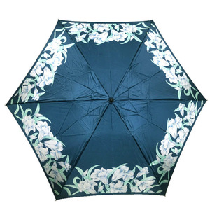 Используются красивые товары Жен Шерель складной зонтик Amburella Nylon Flower Pattern Blue Green Cover 6 зонтик кости 6 дам