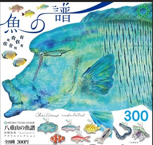 八重山の魚譜　全8種類　アクリルコレクション　新品　熱帯魚　海辺の生き物　原色鑑賞魚図鑑　原色観賞魚図鑑 ストラップ ボールチェーン