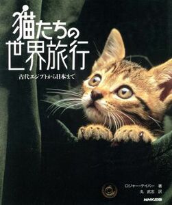  cat ... world travel old fee ejipto from Japan till | Roger Tey bar [ work ], circle Takeshi [ translation ]