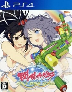 閃乱カグラ　ＰＥＡＣＨ　ＢＥＡＣＨ　ＳＰＬＡＳＨ／ＰＳ４