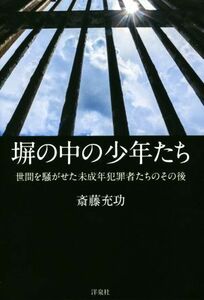 塀の中の少年たち 世間を騒がせた未成年犯罪者たちのその後／斎藤充功(著者)