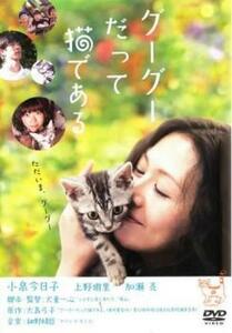 グーグーだって猫である レンタル落ち 中古 DVD