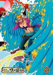 ONE PIECE ワンピース 20thシーズン ワノ国編 R-24(第987話～第990話) レンタル落ち 中古 DVD