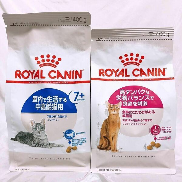 猫まっしぐら　ロイヤルカナン インドア +7 と　プロテインエクシジェント　キャットフード