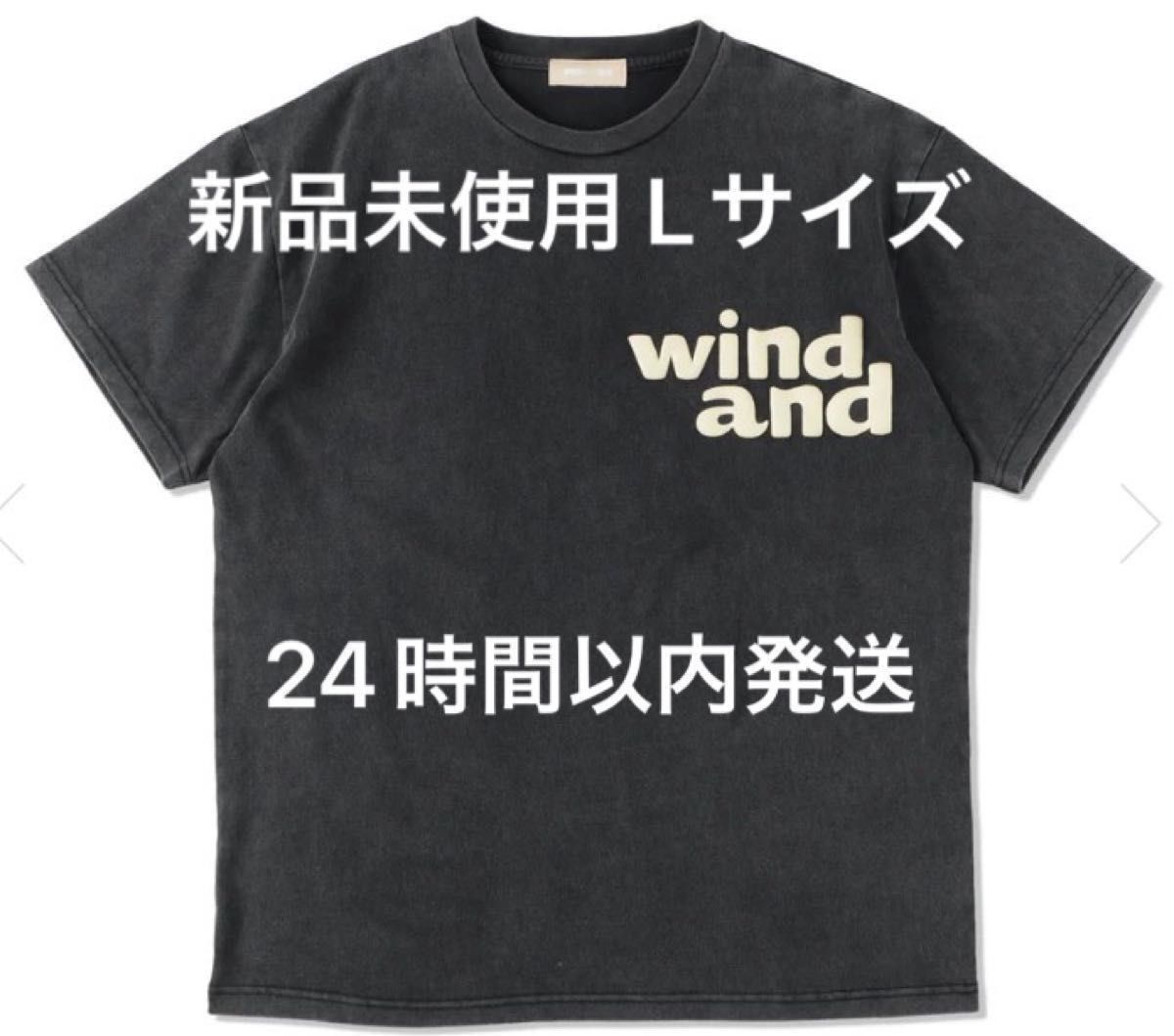 WIND AND SEA PEN PUBLIC X WDS S/S TEE 1 / BLACK Lサイズ|PayPayフリマ