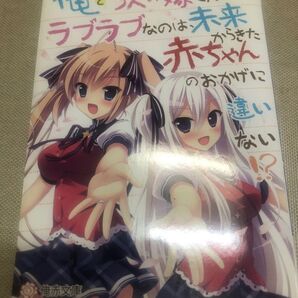 俺と5人の嫁さんがラブラブなのは未来からきた赤ちゃんのおかげに違いない メモ帳
